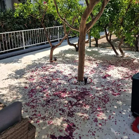 Charmy In بيت ضيافة *